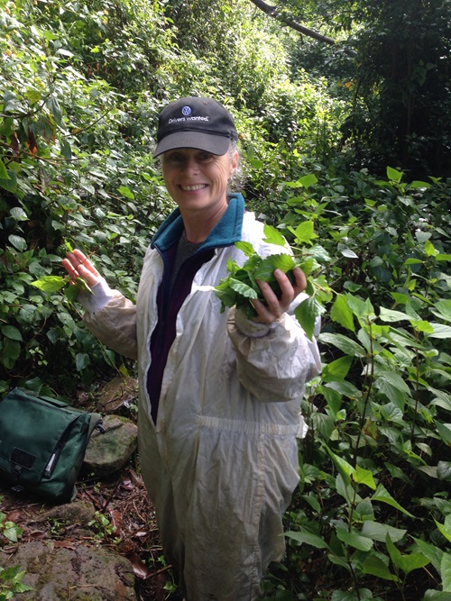Dr Louise Morin at a rust release site near Wollongong.
