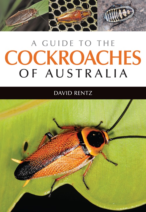 Cover of A Guide to the Cockroaches of Australia, showing an orange cockroache