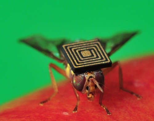 Micro sensing technology on a Q-fly