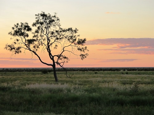 Sunset in the Lake Eyre Basin.