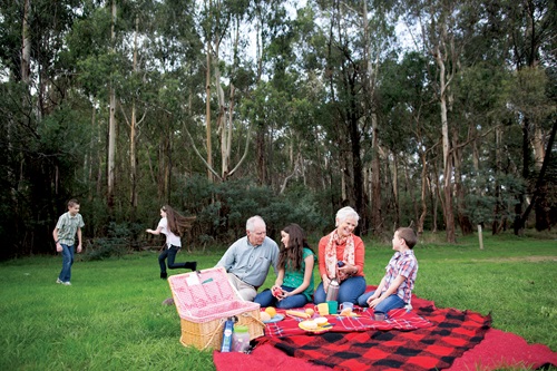 A family including older people and children having a picnic in a bushland clearing