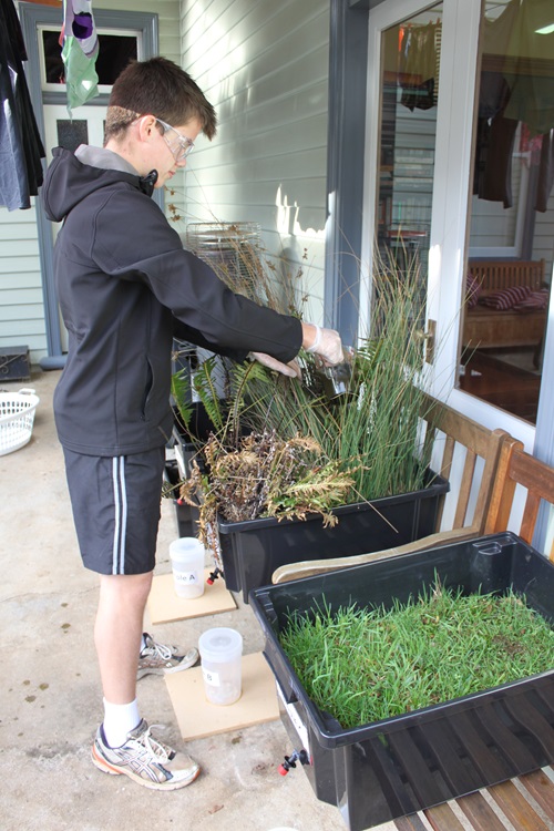 Liam Grieve watering plants