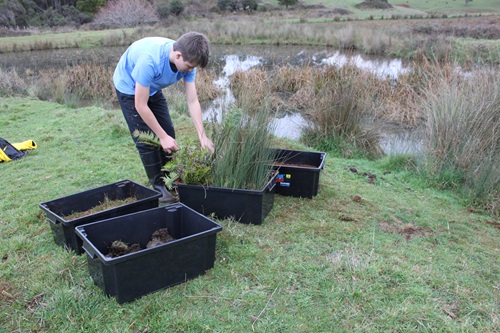 Liam’s working to create healthier waterways.