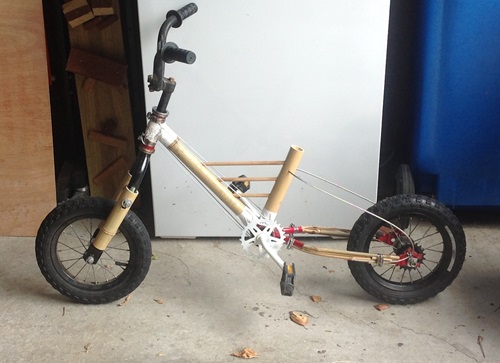 An organic bamboo bike