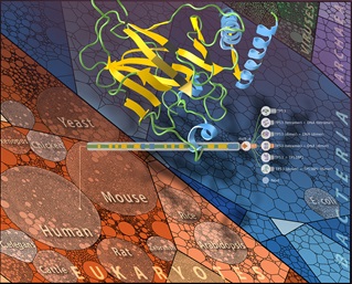 Graphic showing 3D visualisation from the Aquaria tool. 