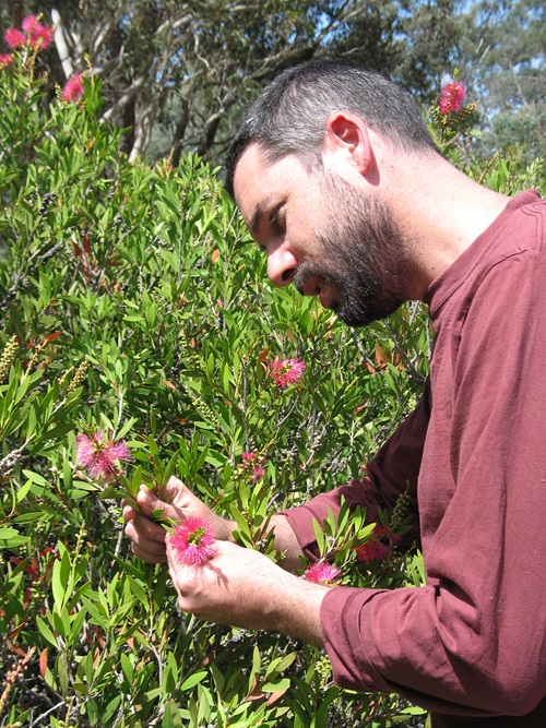 Dr Saul Cunningham inspects a flower