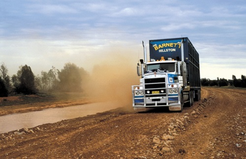 Cattle truck driving along a dirt road.