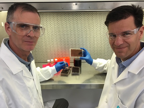 Dr Richard Evans and Dr Helmut Thissen holding lab equipment. 