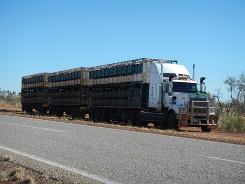 Cattle Truck in the Northern Territory