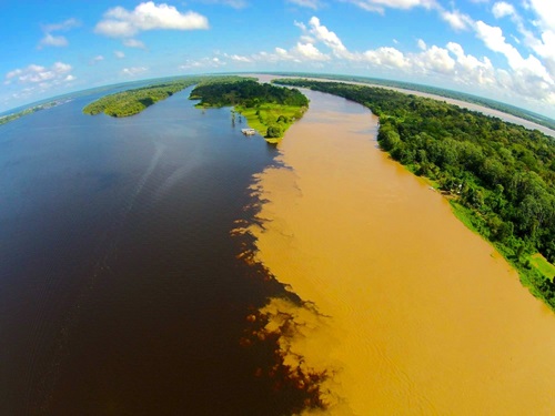 Aerial photo of the Amazon River.