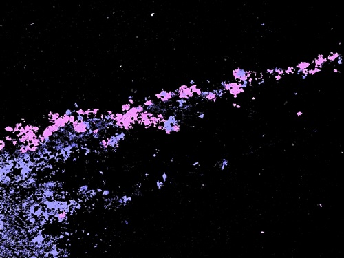 Characterisation image showing mineral 'footprint' pointing to potential zinc deposit.
