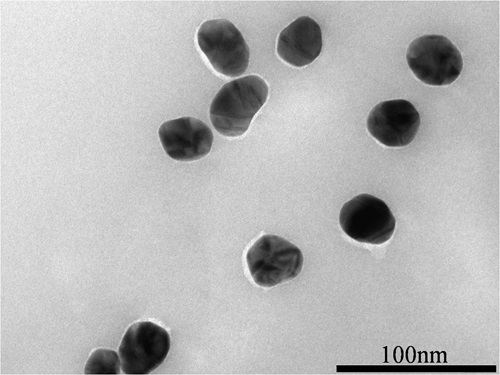 Microscopic close up view of AuNP coating.