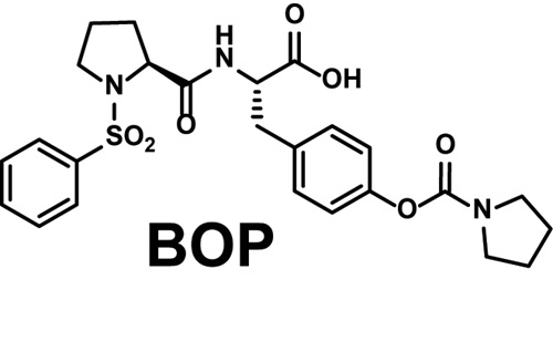 Molecular structure for BOP