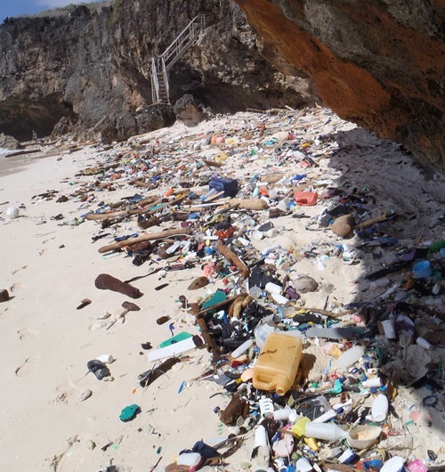 Rubbish washed up along a beach.
