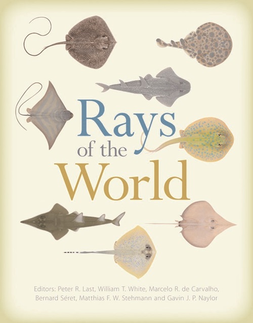 Rays of the world book cover. 