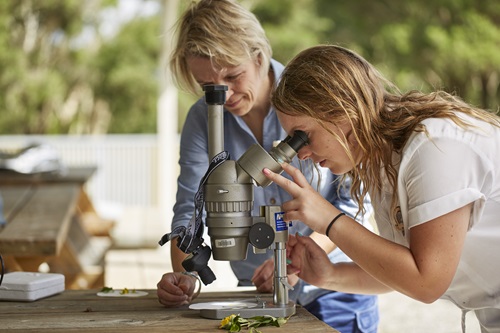 Scientist looking through a microscope while students look on. 
