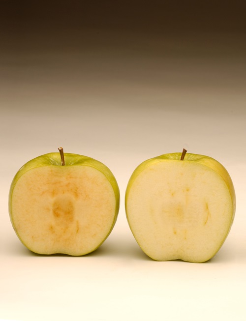 Two sliced apples, one showing signs of browing and the other not