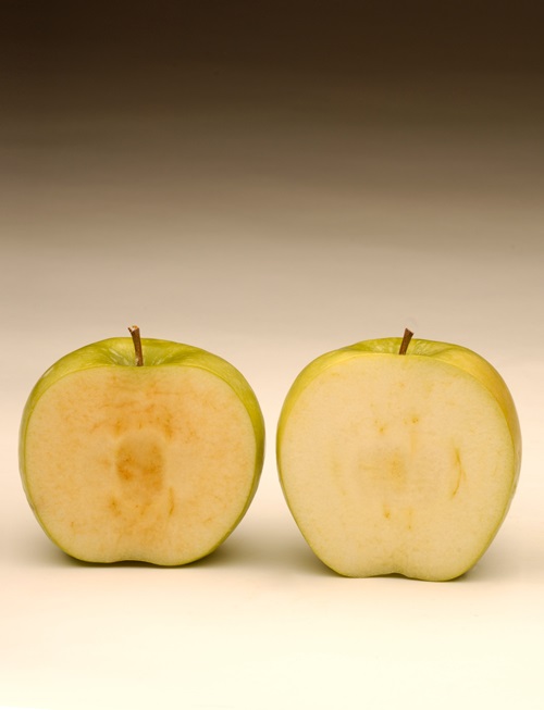 Two sliced apples, one showing signs of browing and the other not
