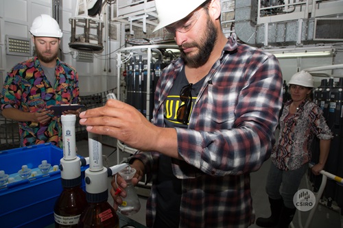 People being trained in analysis of CTD samples.
