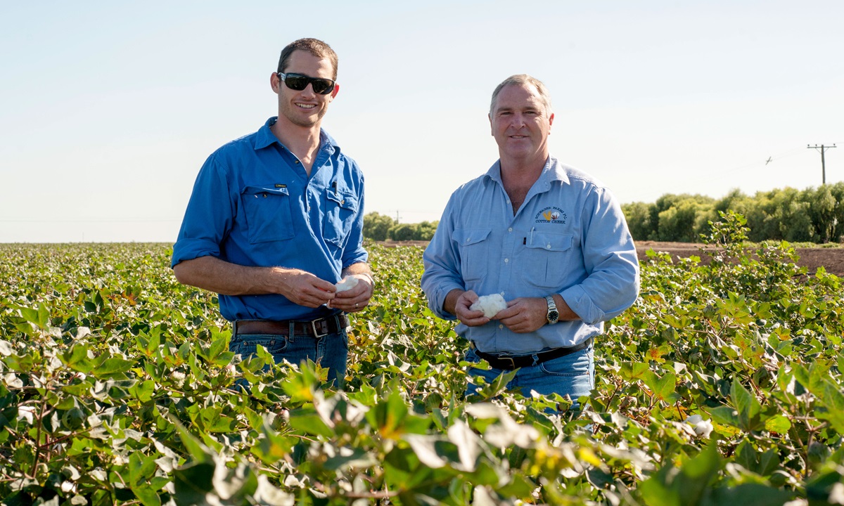 Cotton Breeding Australia celebrates 10th anniversary - CSIRO
