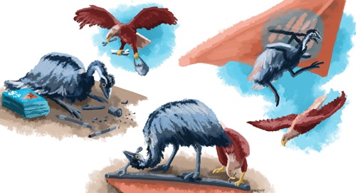 Illustration of an eagle and an emu working together.  