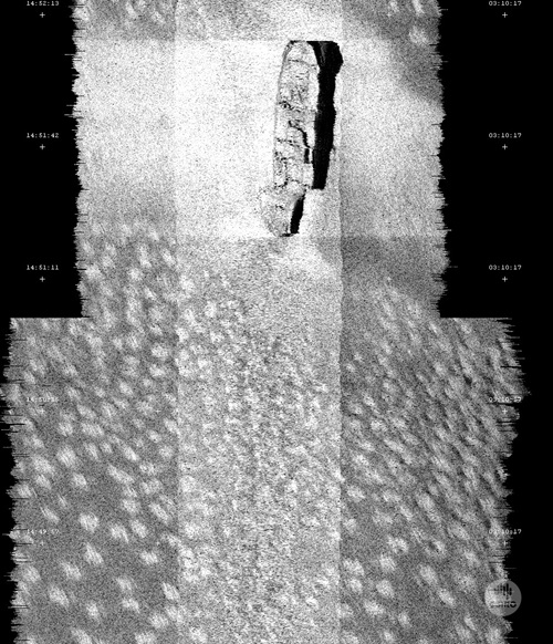 Black and white sonar image of the Macumba shipwreck