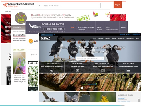 Screen shot of the ALA site. 