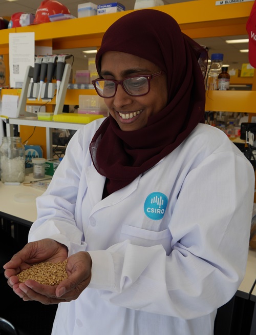 Regina Ahmed holding a hadnful of wheat.