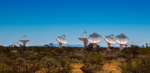 Dishes of CSIRO’s Australian Square Kilometre Array Pathfinder in ‘fly’s-eye mode’
