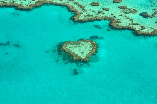 ariel view of the Great Barrier Reef