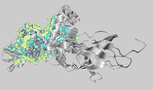 A visualisation of a protein meshing with noble gases.
