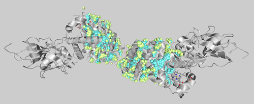 A visualisation of a protein meshing with noble gases.