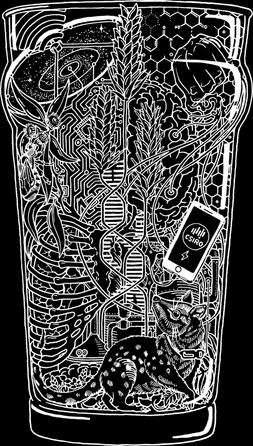 Pint glass design 