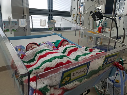 two premature babies in a crib in hospital