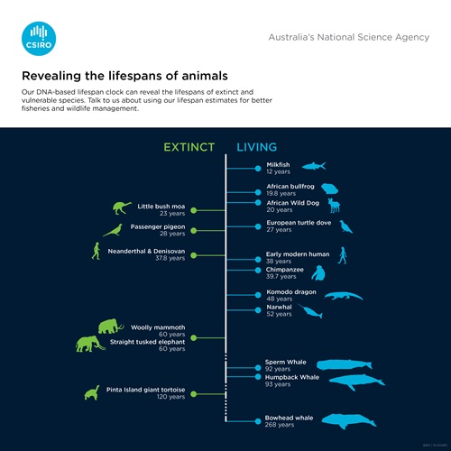 Genetic 'clock' predicts lifespan in animals - CSIRO Genetic 'clock' predicts lifespan in animals - CSIRO