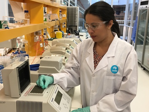 Scientist testing samples