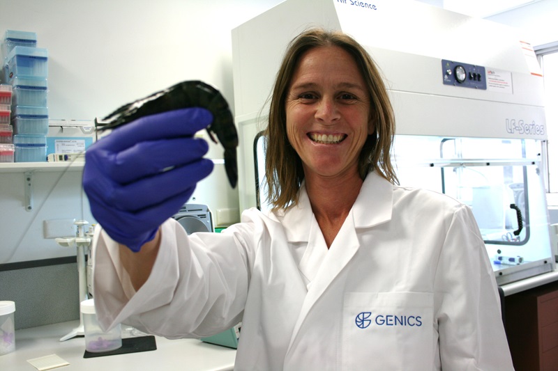 Scientist in lab coat hold prawn