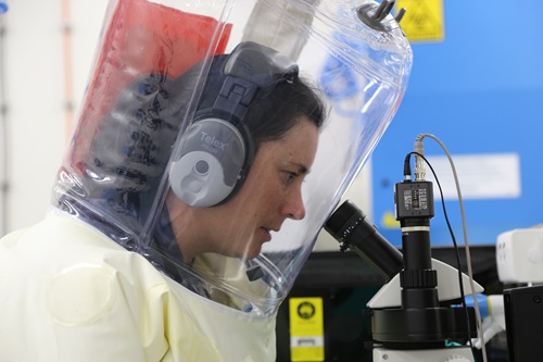 CSIRO scientists perform biosecurity tests at the Australian Animal Health Laboratory