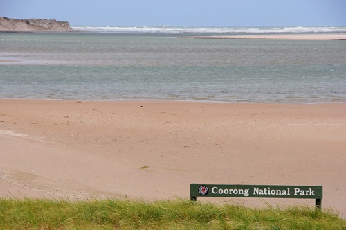 A view of a beach