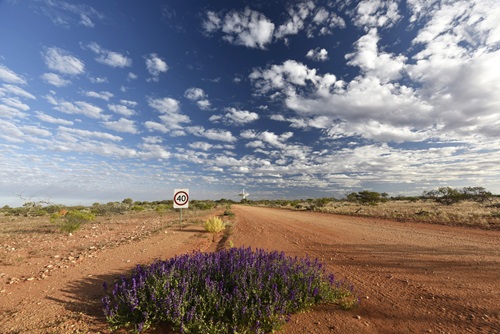 Dirt road leading up to one of the radio telescopes in the Square Kilometre Array in the distance. 