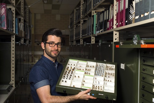  Dr Bryan Lessard holding an insect tray from the Australian National Insect Collection. 