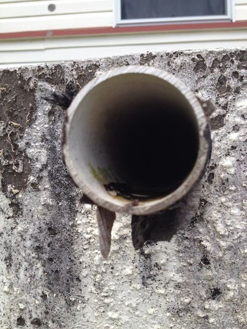 Exposed end of an overflow pipe with no seive.