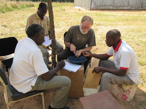 TJ Higgins sitting with African Colleagues after harvesting cowpeas. 