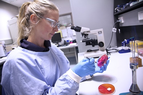 Scientist working at a lab bench with a microscope in the background. 