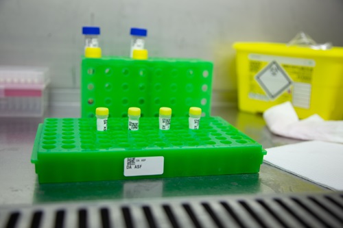 Close up of scientific samples in small vials in a plastic rack. 