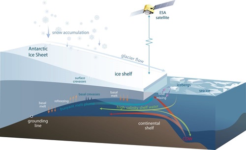Drawing shows the process of  warm ocean currents surrounding the Antarctic coast, where floating ice walls offer protection to the ice sheet by limiting the amount of ocean heat that reaches the ice.