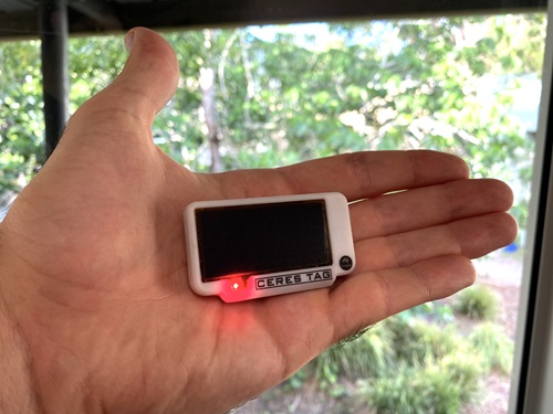 A Ceres Tag smart ear tag