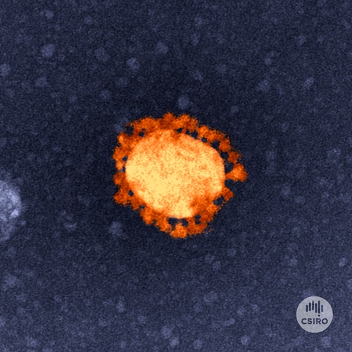 A bright yellow circle with orange rounded spikes protruding all around the perimeter of the circle against a dark background.
