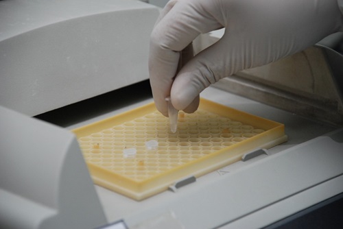 Close up of a gloved hand placing an eppendorf tube into a sampe tray. 