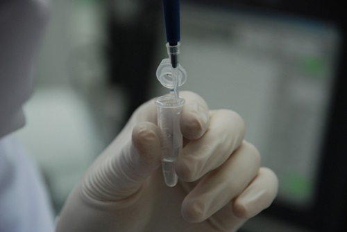 Close up of a hand holding an open eppendorf tube while a pipette adds liquid. 